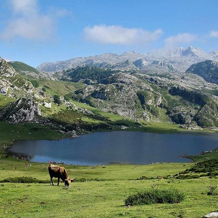 Casa Noval Zona Rural En El Centro De Asturias Daire Bimenes Dış mekan fotoğraf