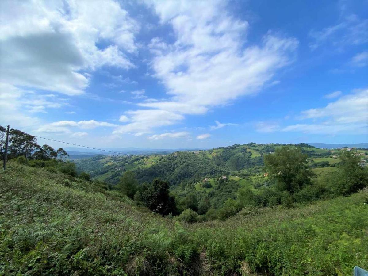 Casa Noval Zona Rural En El Centro De Asturias Daire Bimenes Dış mekan fotoğraf